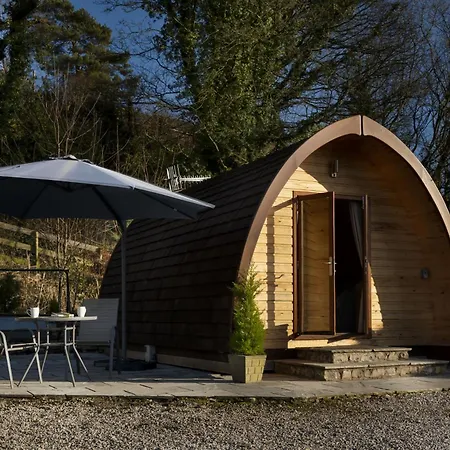 Willow Tree Pod Brigsteer