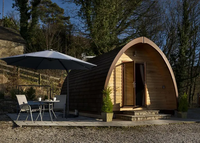 Willow Tree Pod Brigsteer