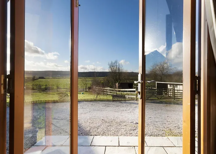 Willow Tree Pod Holiday home *